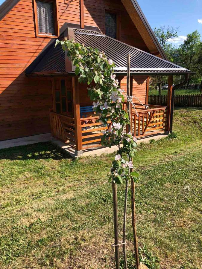 Apartmani Milekic Mokra Gora Bagian luar foto